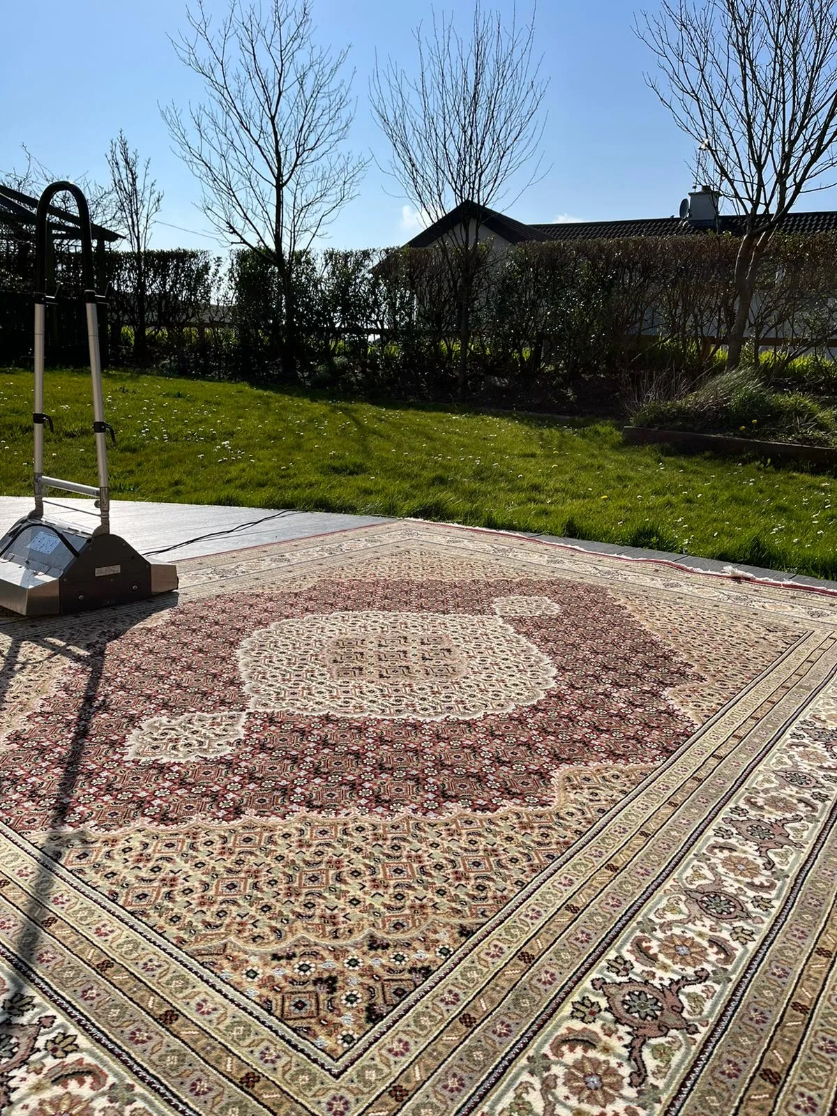 Ralph cleaning a rug at the Rugwash.ie facility